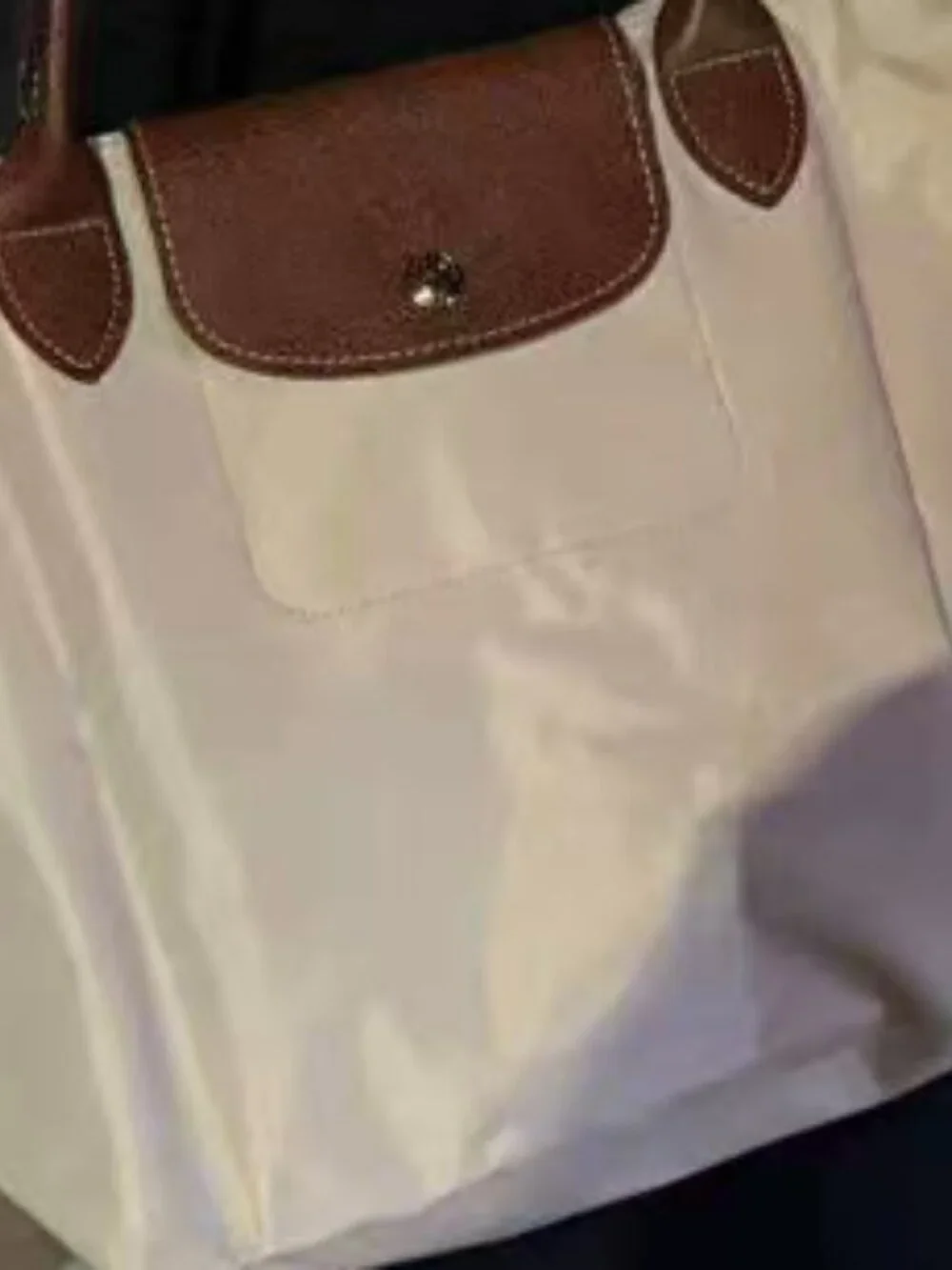longchamp bag large